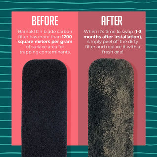 Ecoluft Filter