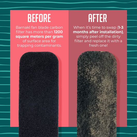 Ecoluft Filter