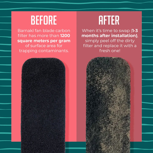Ecoluft Filter